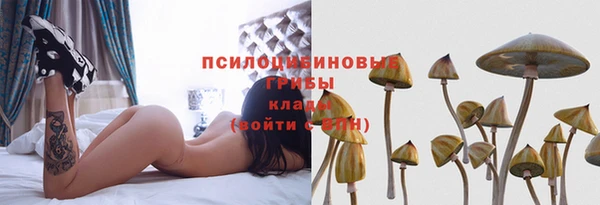 гашишное масло Аркадак