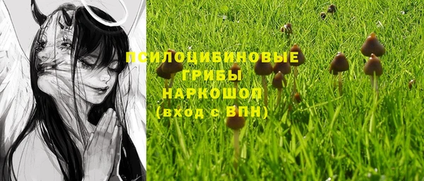 каннабис Баксан