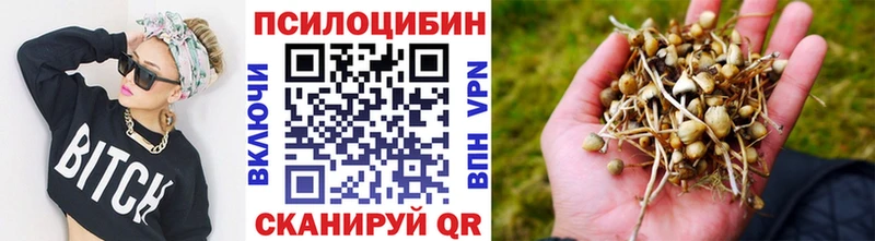 мега ONION Октябрьск Галлюциногенные грибы GOLDEN TEACHER